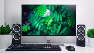 Monitor Setup